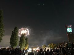-校村炸鸡(弘大)