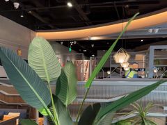 -湊湊火锅·茶憩(皇姑万象汇店)