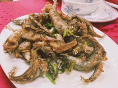 -蛇口康乐快餐鱼仔档(翠苑小区店)