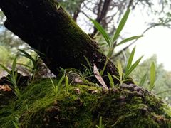 -八哥美术·成人美术画室(总校区)