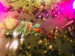 门面-花千醉拾季(雨花世茂店)