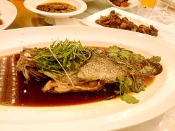 清蒸游水老虎斑-中谷小南国花园酒店·宴会厅