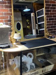 -青木造型HAIR·あおき髪を刈る潮人店