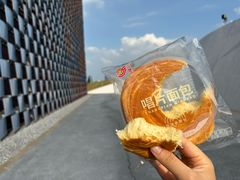 -荷兰花海
