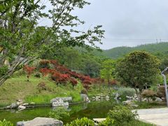 -岳麓山风景名胜区