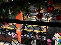 -Tenker Club弹刻极限主题公园 · 蹦床 · 团建 · 生日派对(大关店)