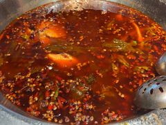 -蜀滋香鲜鱼美蛙火锅(339店)