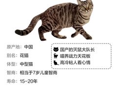 -FAELING PETS美天灵宠物(合生汇店)