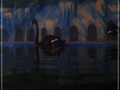 -常州海昌海洋探索馆