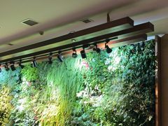 -泽云梵莲花足浴 按摩 SPA(滨湖店)