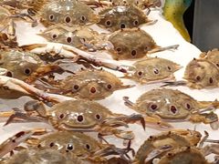 -苏格里岛自助海鲜烤肉(青秀万达店)