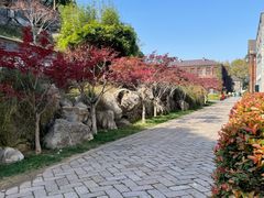-镇江博物馆