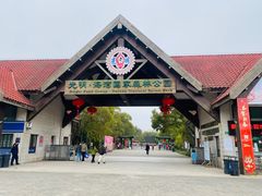 -上海海湾国家森林公园