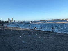 -黄金海岸