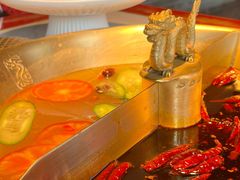 -小龙翻大江文化火锅(宽窄店)