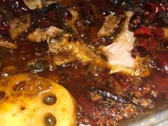 -鱼酷活鱼烤鱼(沈阳大悦城店)