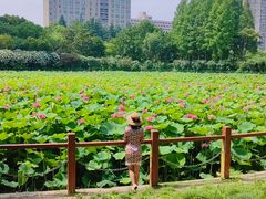 -黄兴公园