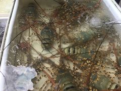 -拉威海鲜市场