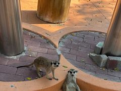 -南戴河国际娱乐中心