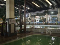 -南宫温泉水世界