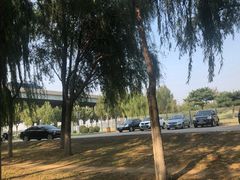 -丁香湖公园