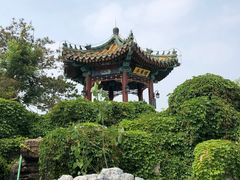 -武清南湖绿博园