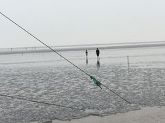 -南汇嘴观海公园