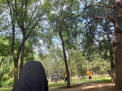 -太阳宫公园