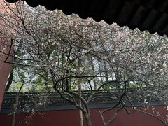 -钱王祠
