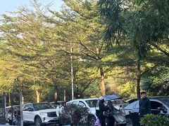-黄埔油麻山森林公园