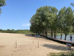 -东郊湿地公园