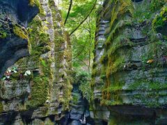 -梭布垭石林景区