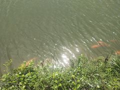 -永泰中国云顶