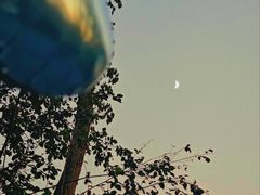 -武汉动物园