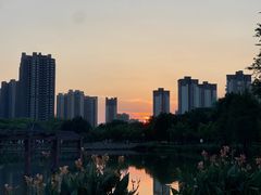 -飞来湖湿地公园