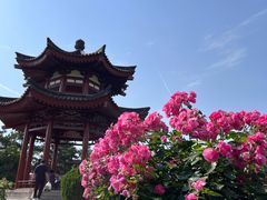 -大慈恩寺(大雁塔)