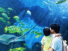 -福州罗源湾海洋世界旅游区