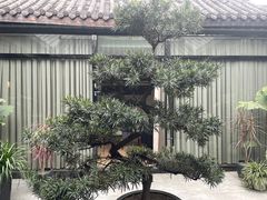 -天府掌柜(九眼桥店)