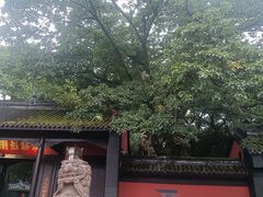 -成都武侯祠博物馆