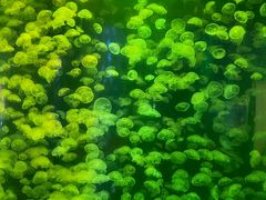 -海合安青岛极地海洋公园