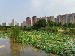 -木塔寺遗址生态公园