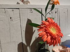 -懒人盐府人家(安贞店)