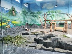 -秦皇岛野生动物园