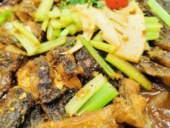 -老板恋上鱼(高新万达店)