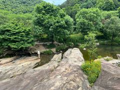-武汉姚家山旅游景区