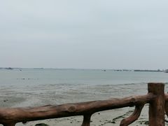 -霞山观海长廊