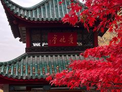 -岳麓山风景名胜区