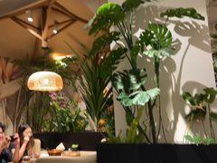 -金孔雀德宏傣味餐馆(魏公村店)