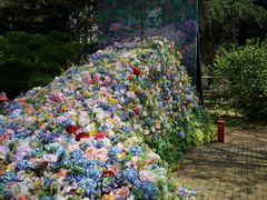 -上海共青森林公园