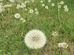 -汉长安城未央宫国家考古遗址公园